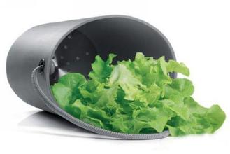 东莞摩登7告诉您11种蔬菜不宜生吃