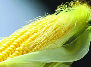 摩登7告诉您废弃物怎么利用