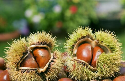 “干果之王”栗子怎么吃补肾强身壮骨