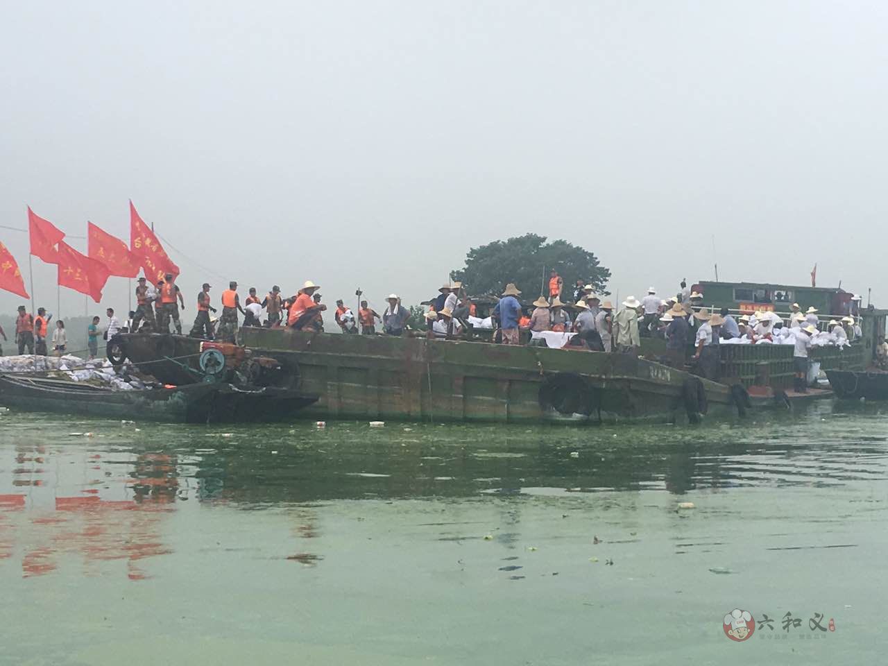  洪水不退，摩登7不撤！