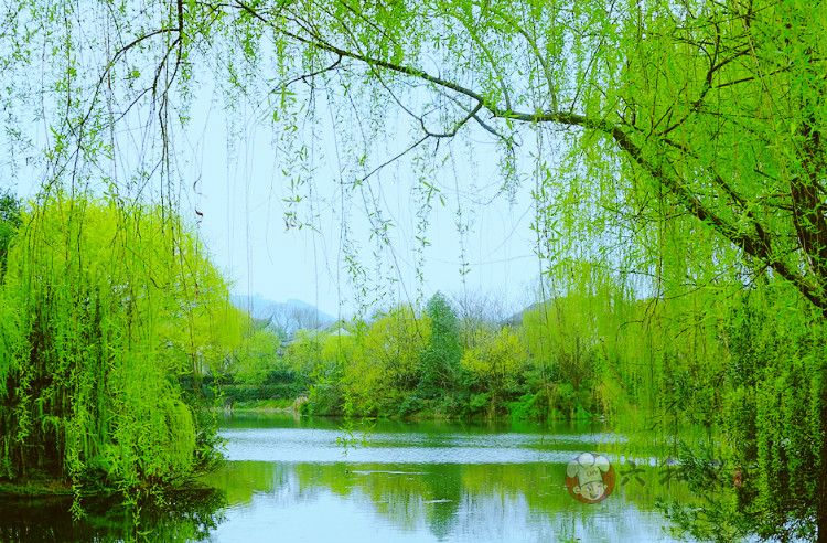摩登7快餐指导您春季饮食早知道