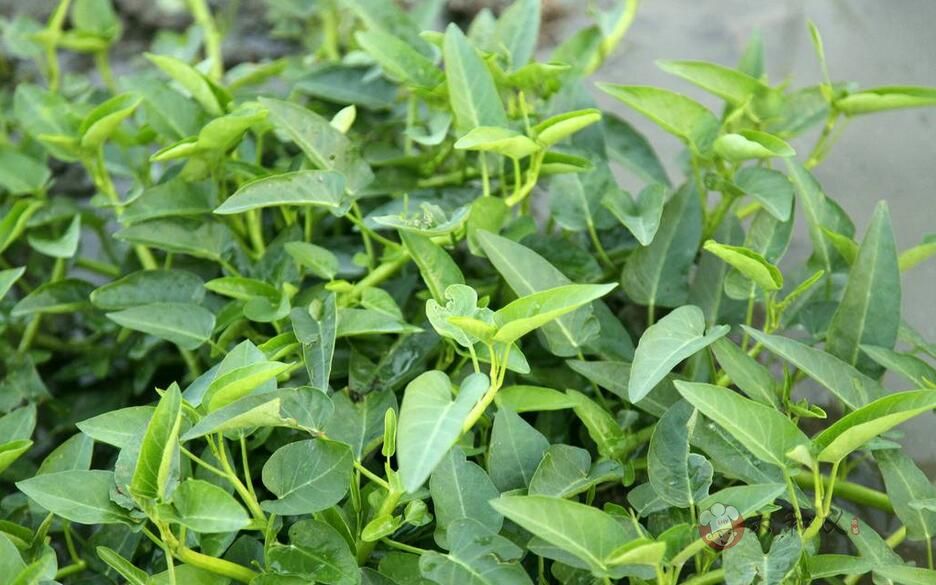 摩登7快餐 摩登7快餐配送