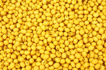 摩登7快餐 摩登7快餐