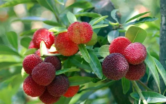 摩登7快餐 摩登7快餐配送