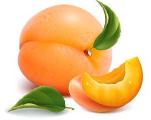 东莞订餐 东莞订餐