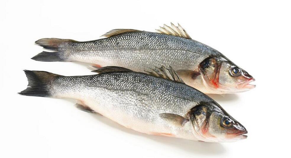 摩登7快餐 摩登7快餐配送