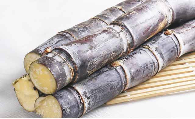 摩登7快餐 摩登7快餐配送