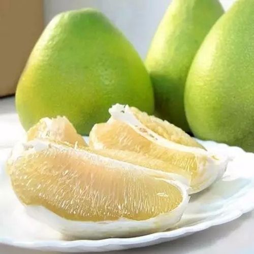 摩登7快餐 摩登7快餐配送