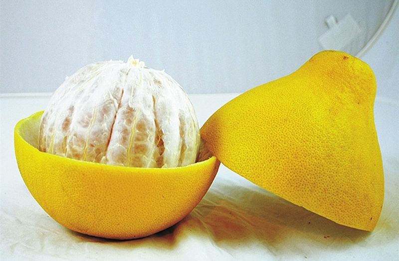 摩登7快餐 摩登7快餐配送