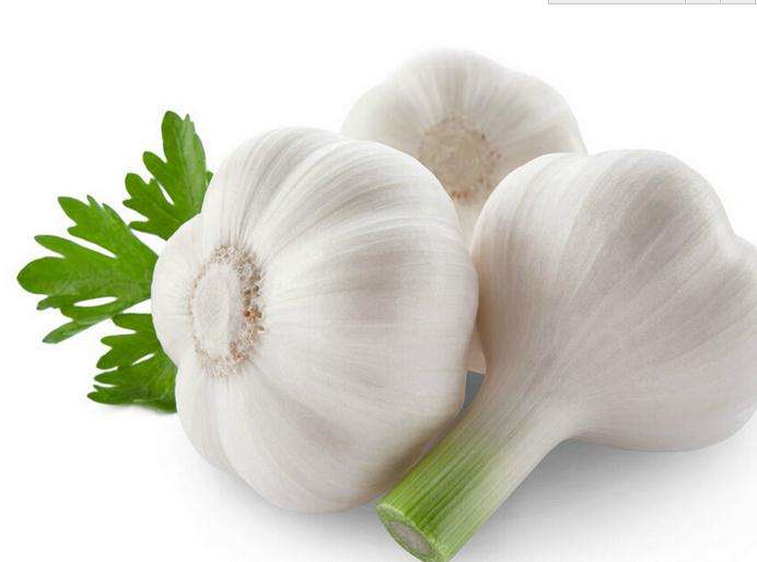 摩登7快餐 摩登7快餐配送