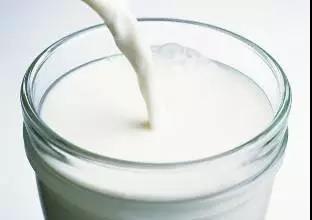 牛奶——减肥理想的食材