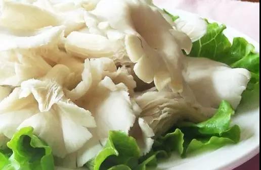 平菇这样做炒入口鲜香，连汤汁都想喝掉！