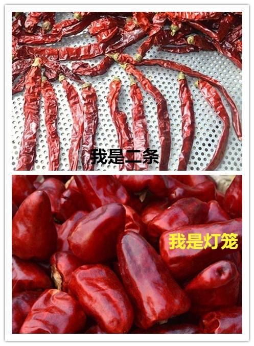 摩登7快餐 摩登7快餐配送