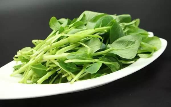 摩登7营养师告诉你最美味的春季食材，你最爱吃哪个？