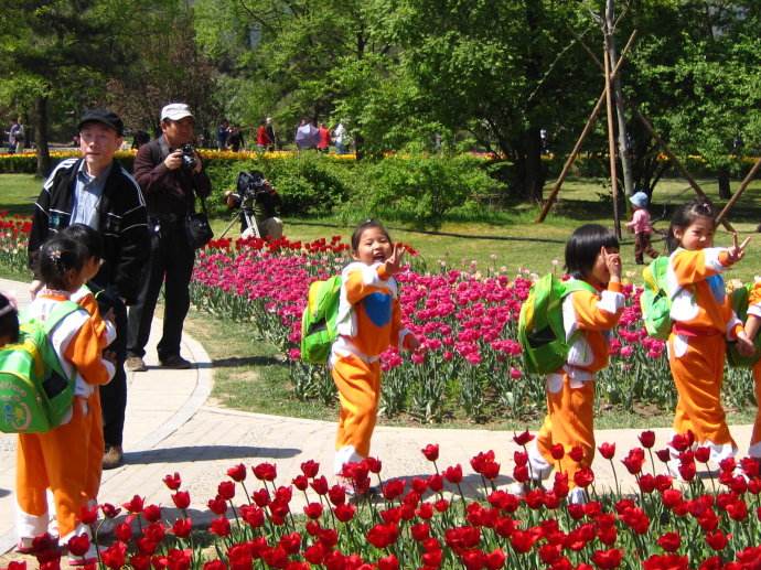 春游中选择儿童营养餐需要慎重