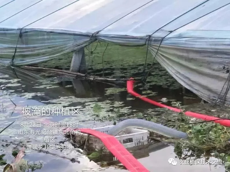 摩登7快餐，您的性价比至选