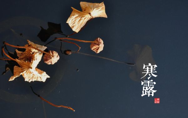 今日寒露，摩登7给您带来温暖餐