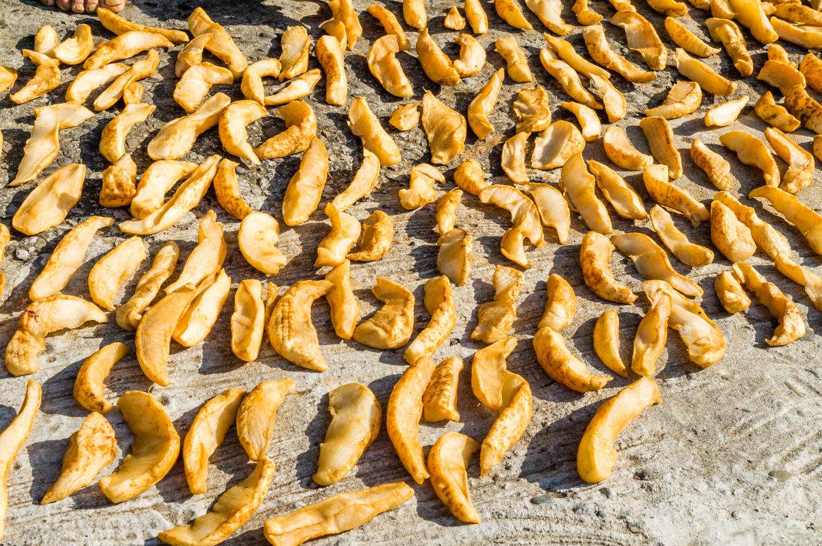 立冬来了，准备开始腌萝卜干啦！