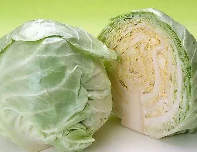 吃不腻的经典家常菜——包菜