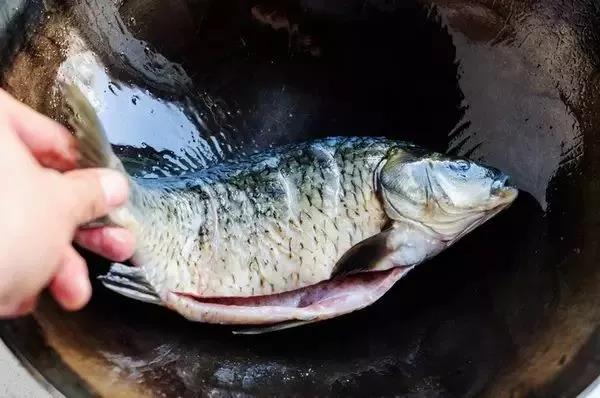 摩登7快餐 摩登7快餐配送