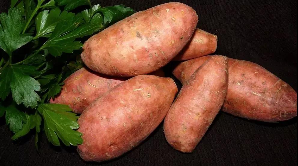 红薯还能这么吃，简单又美味！