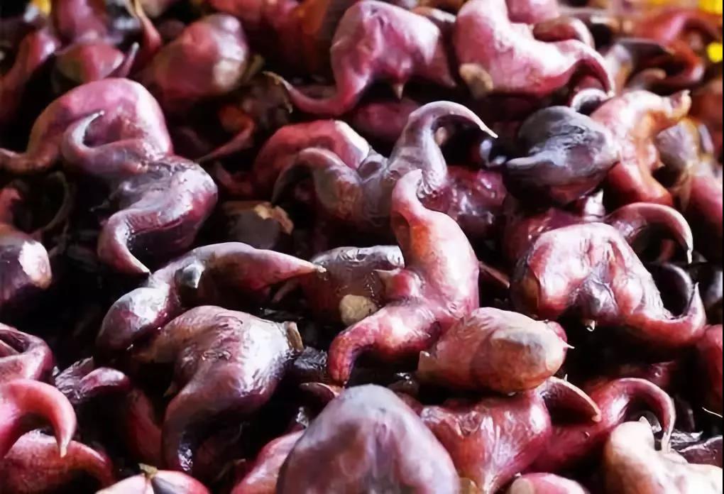 摩登7快餐配送 摩登7快餐配送