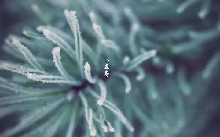 立冬 | 你好，冬天
