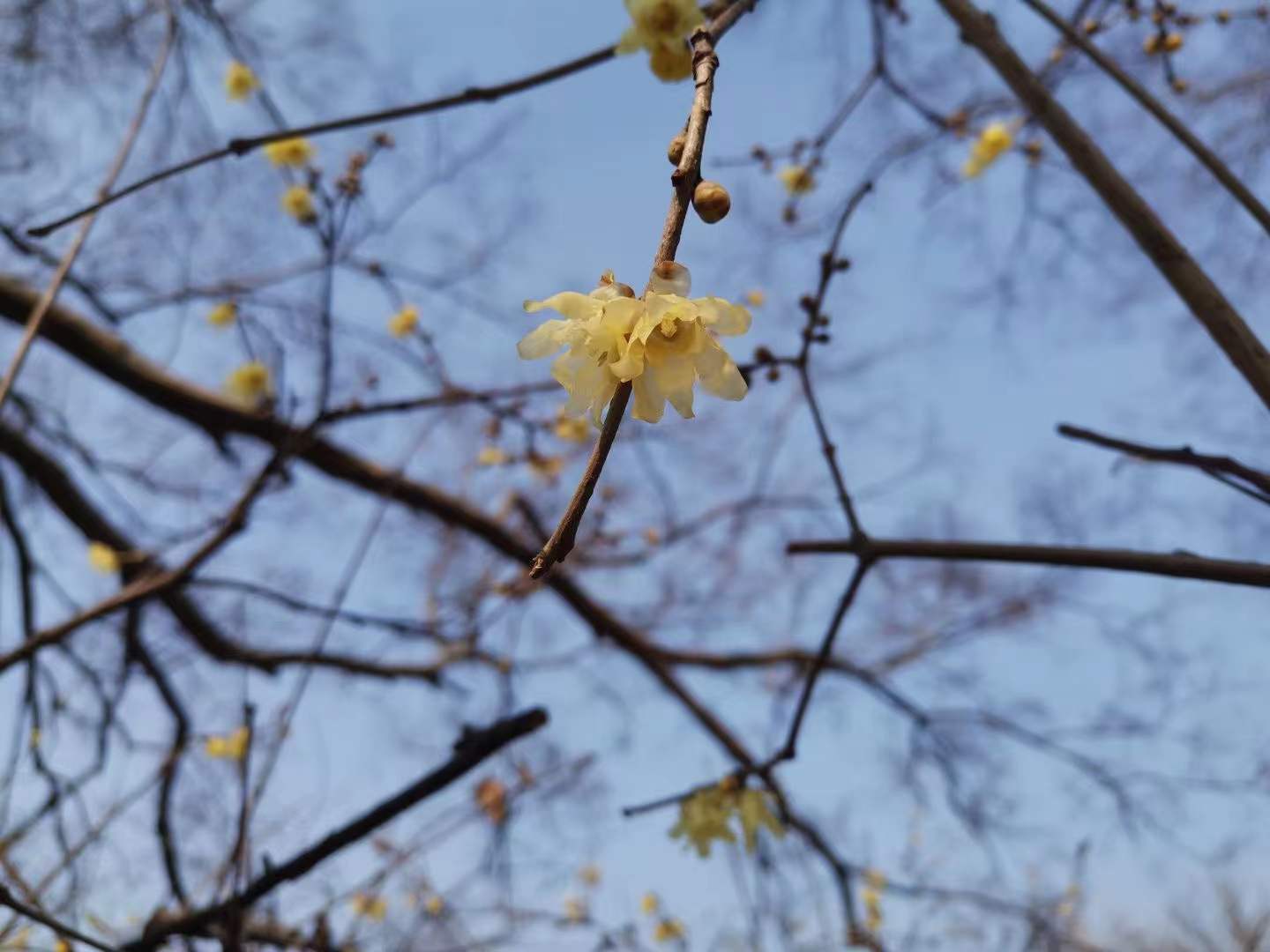 杏耀平台配送