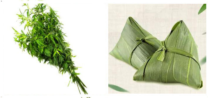 摩登7|又是一年端午时，粽香浓浓，端午安康！